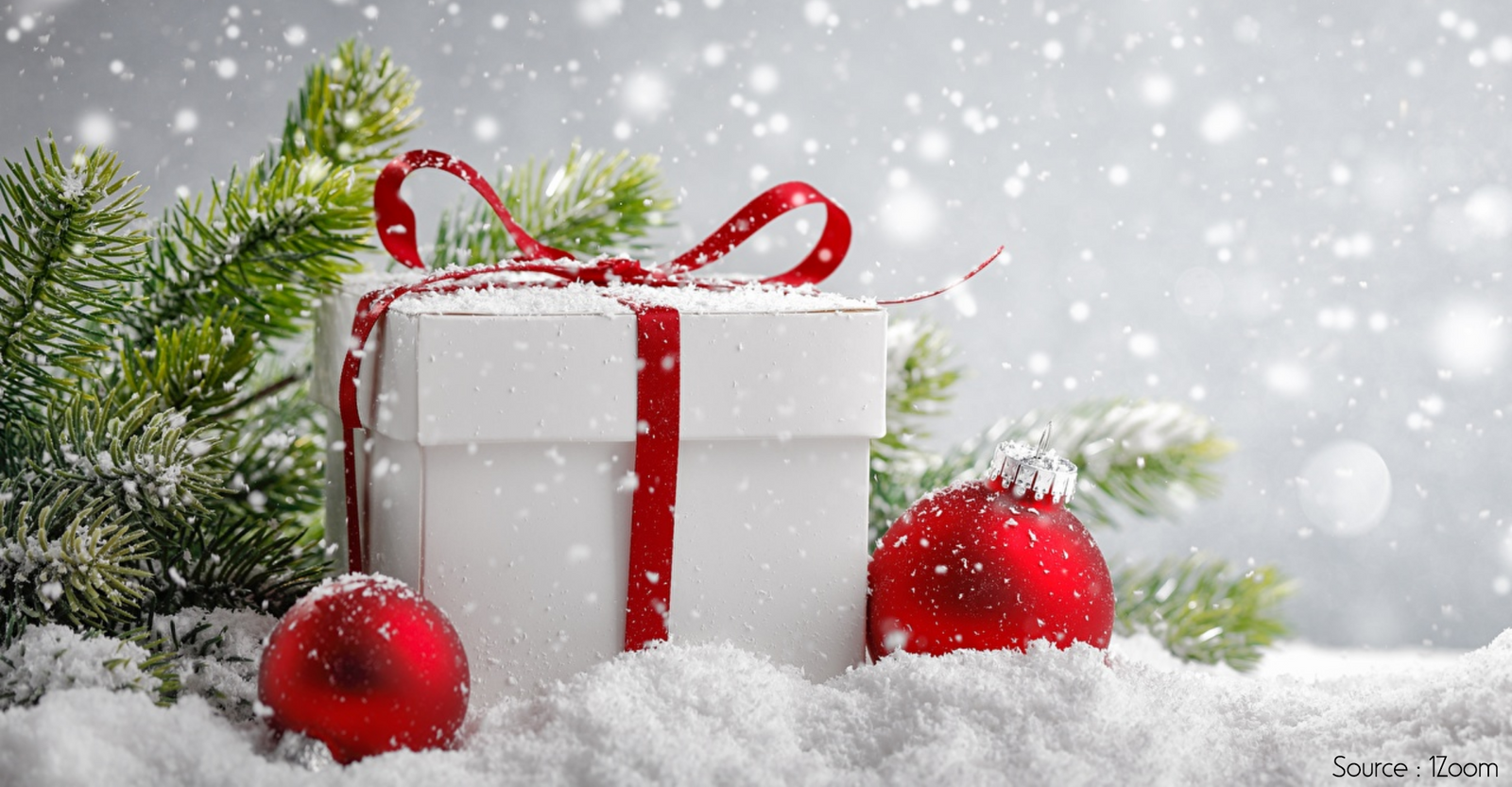 Check Out The Latest & Trendy Captions For Winter Season Check Out The Latest & Trendy Captions For Winter Season