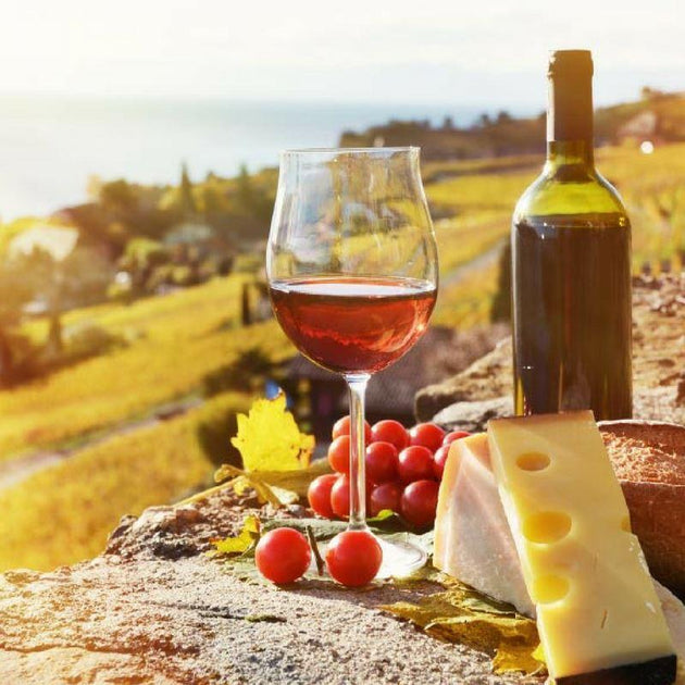 How to use an Air Pressure Wine Opener Bigsmall.in