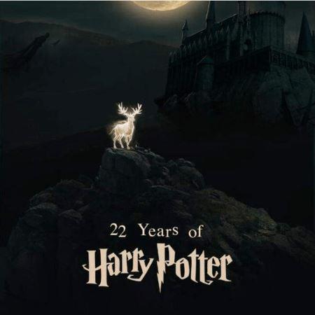 A tribute to 22 years of Pottermania