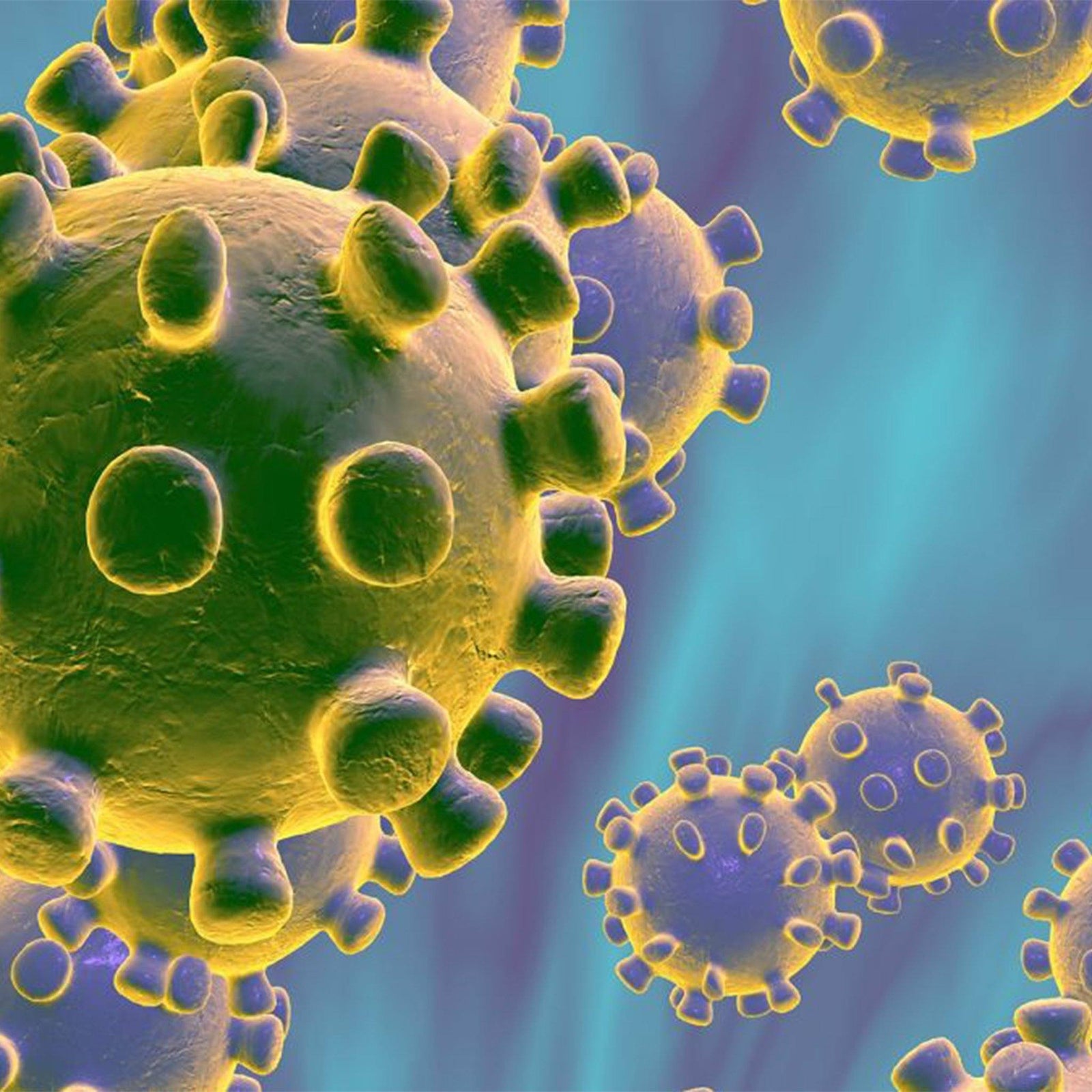 Corona Virus & Basic Protective Measures