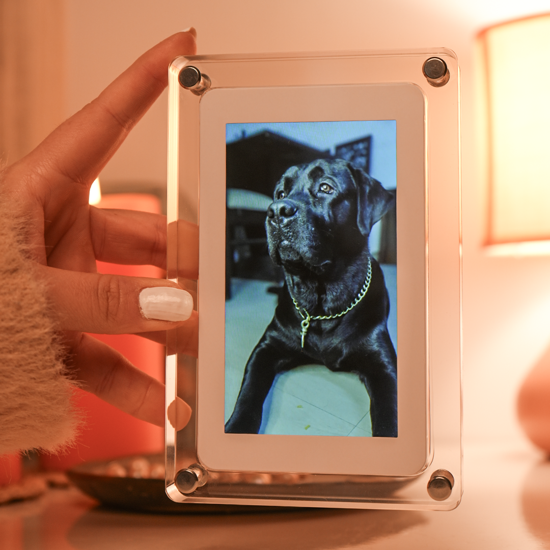 Digital Photo & Video Frame Digital Photo & Video Frame