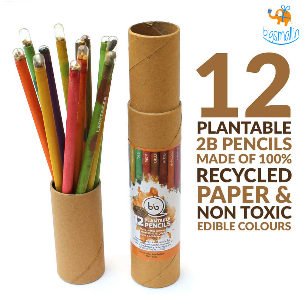 Eco-Friendly Plantable Seed Pencils