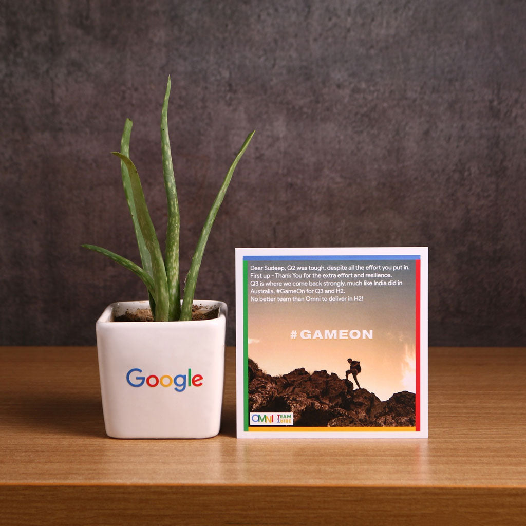 Google - Customized Ceramic Desk Pot With Aloe Vera Plant