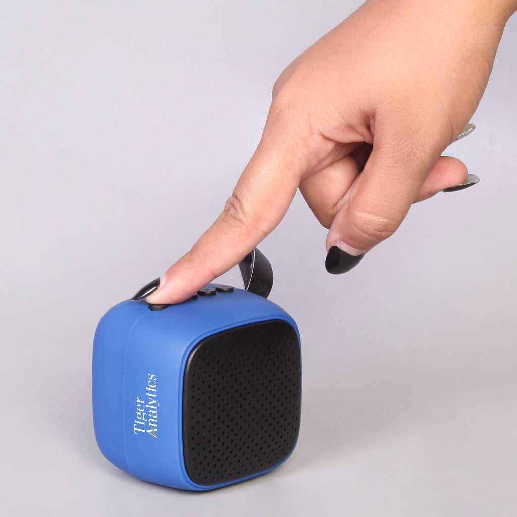 Mini Bluetooth Speaker - Tiger Analytics