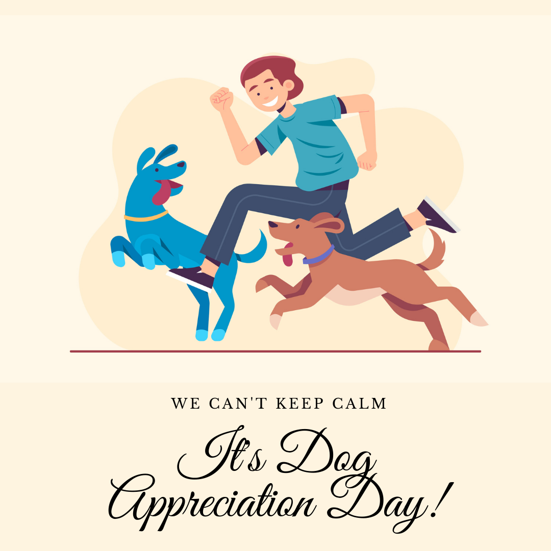 Go Pat your Doggo, it's Dog Appreciation Day!