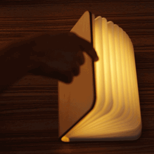 Foldable Book Lamp