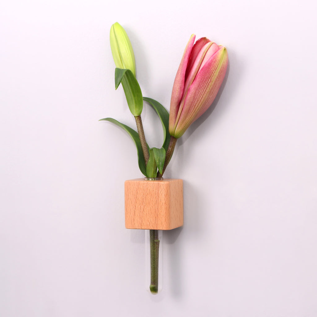 Sip & Bloom Hamper