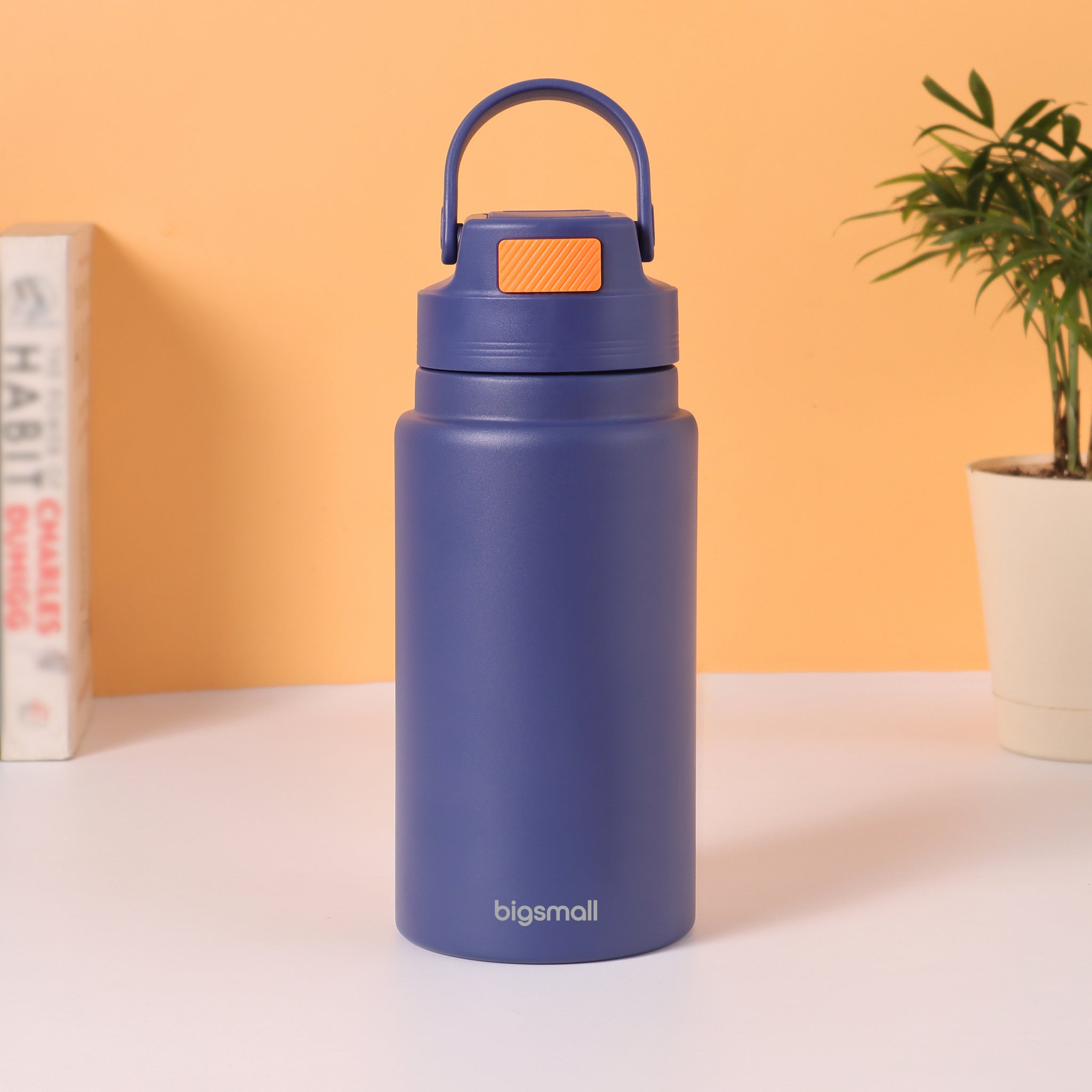NomadSip 800 ML