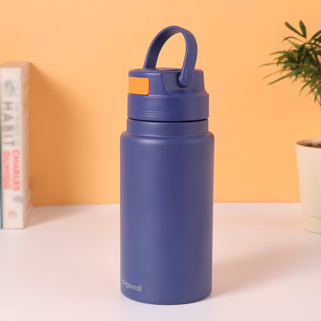 NomadSip 800 ML