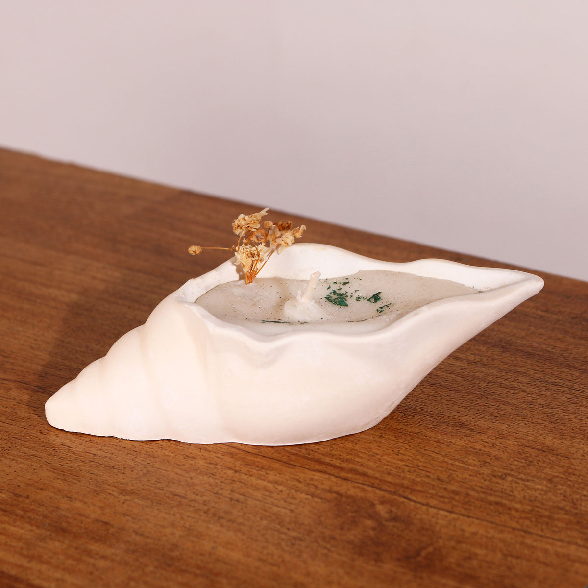 Scented Conch Shell Candle – Bigsmall.in
