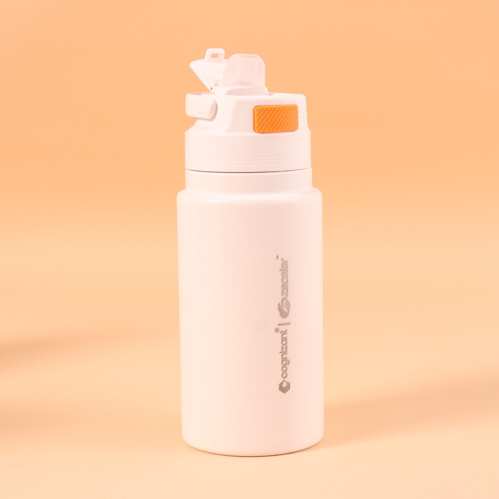 NomadSip 800 ML
