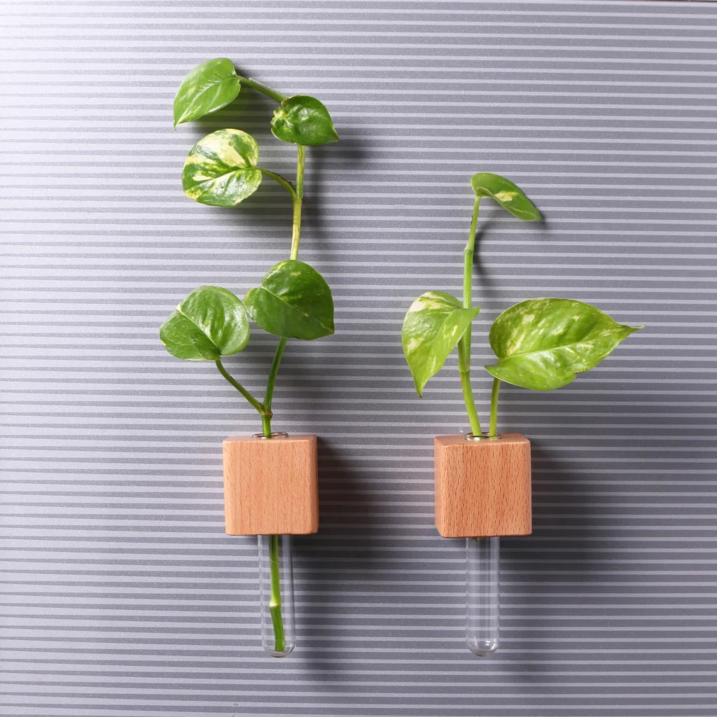 Wooden Planter Fridge Magnets