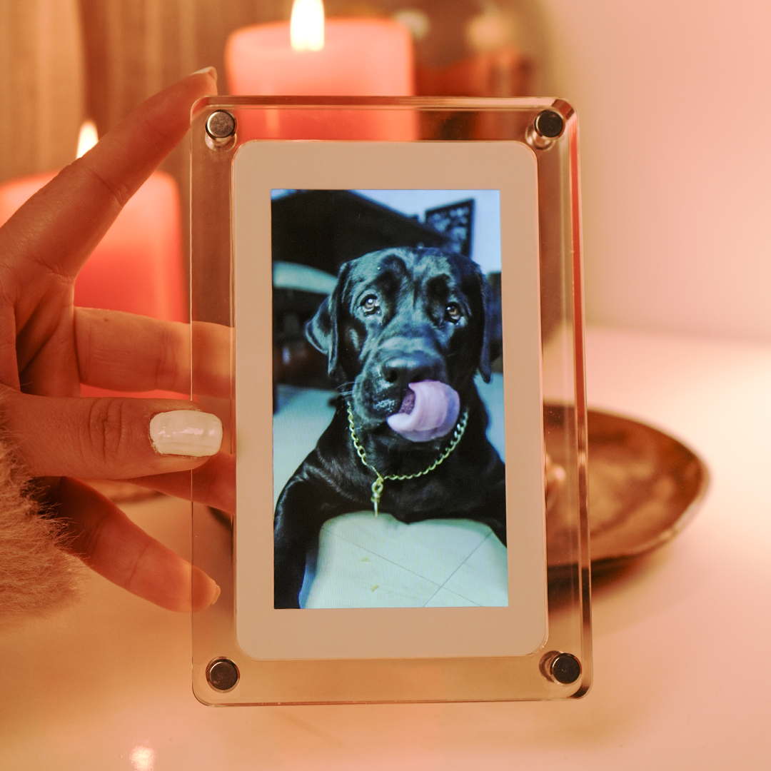 Digital Photo Frame