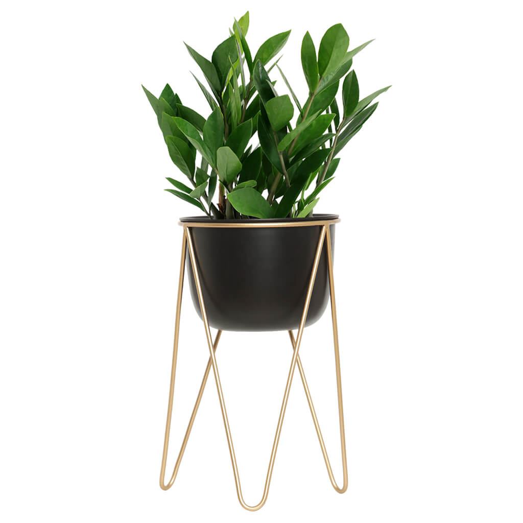 Planter with Golden Stand