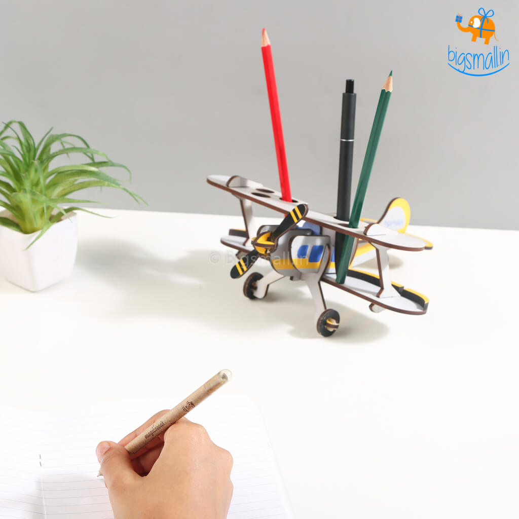 Plane Pen Stand