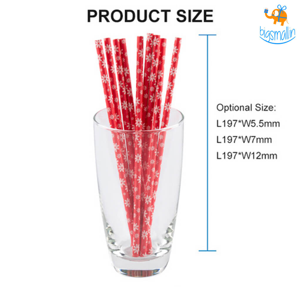 Christmas Paper Straws - Pack of 25