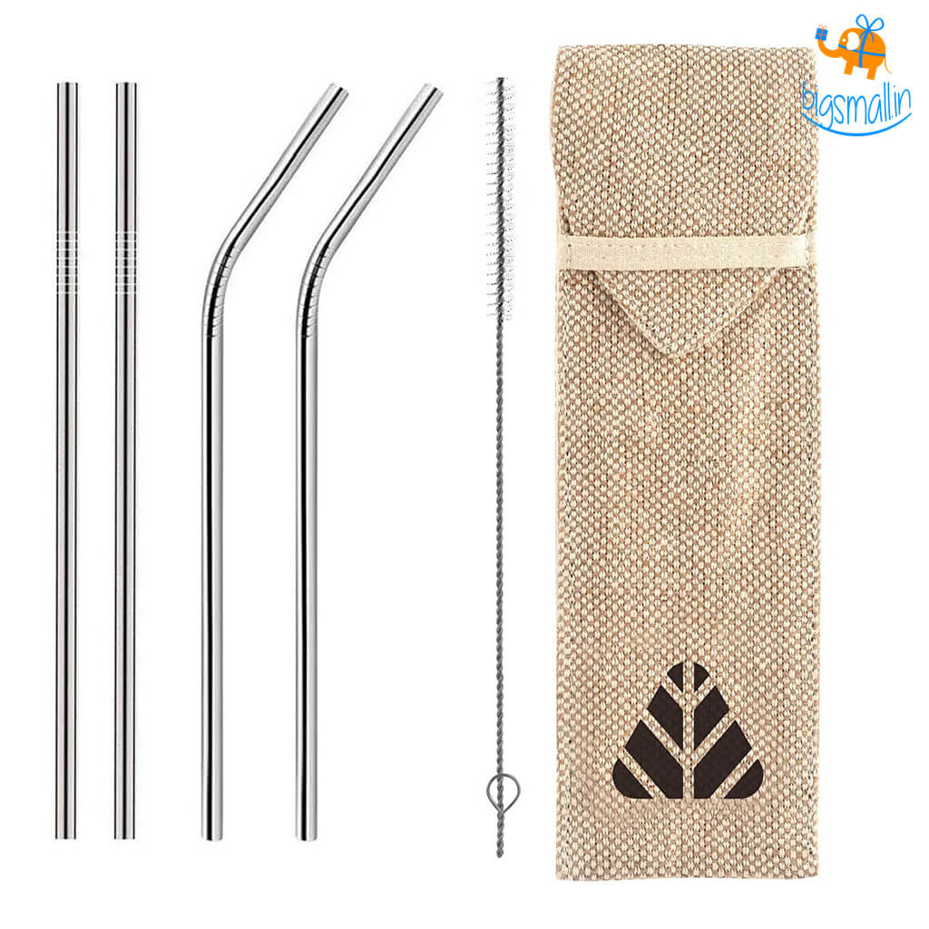 Reusable Metallic Straws Pack of 4