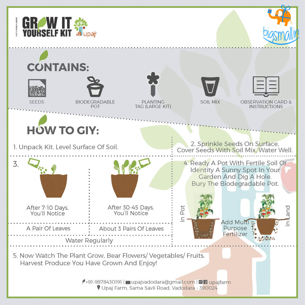 Grow It Yourself Kit - Vegetable Garden (Pack Of 4)